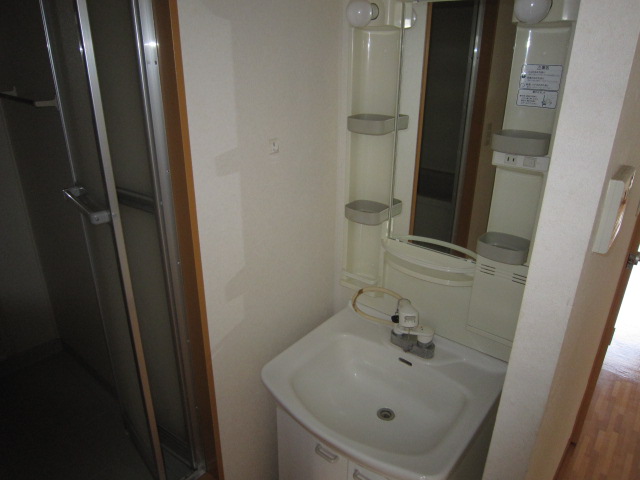 Washroom. Washbasin with shower