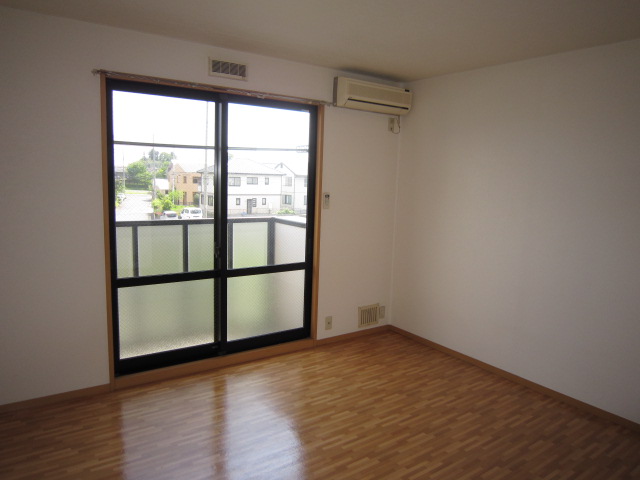 Living and room. Sunny living