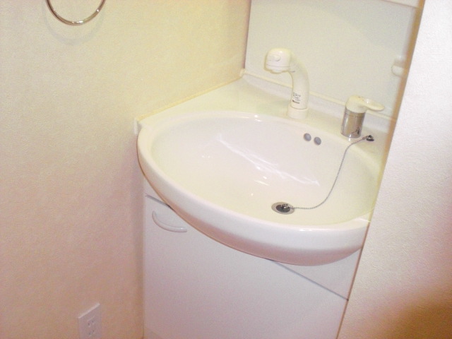 Washroom. Shower Dresser