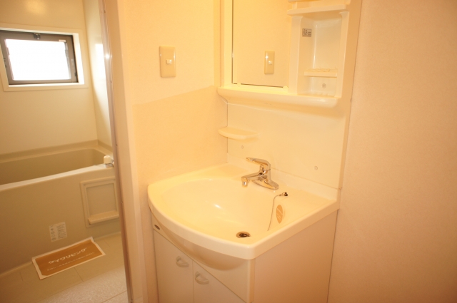 Washroom. Washbasin with shower