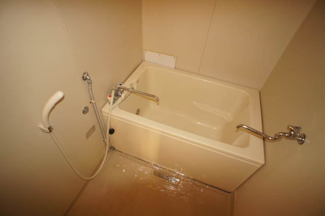 Bath. Beautiful bathroom