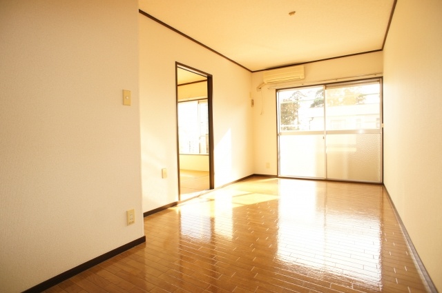 Living and room. Sunny living