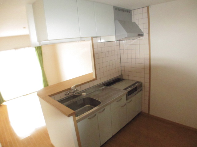 Kitchen. With IH cooking heater