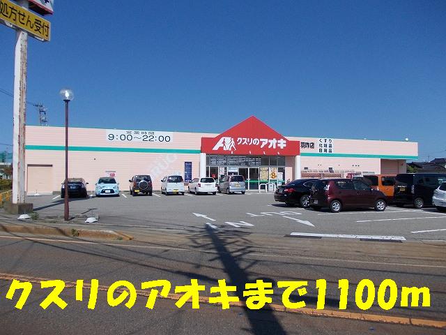 Dorakkusutoa. Medicine of Aoki 1100m up (drugstore)