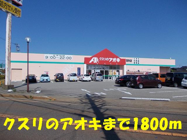 Dorakkusutoa. Medicine of Aoki 1800m up (drugstore)