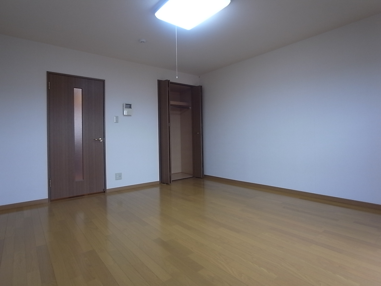 Living and room. Room of spread