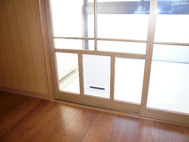 Other room space. Solarium pet doorway