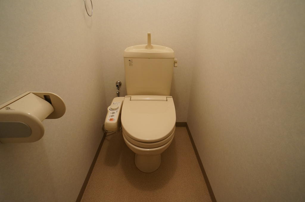 Toilet. Warm water washing heating toilet seat