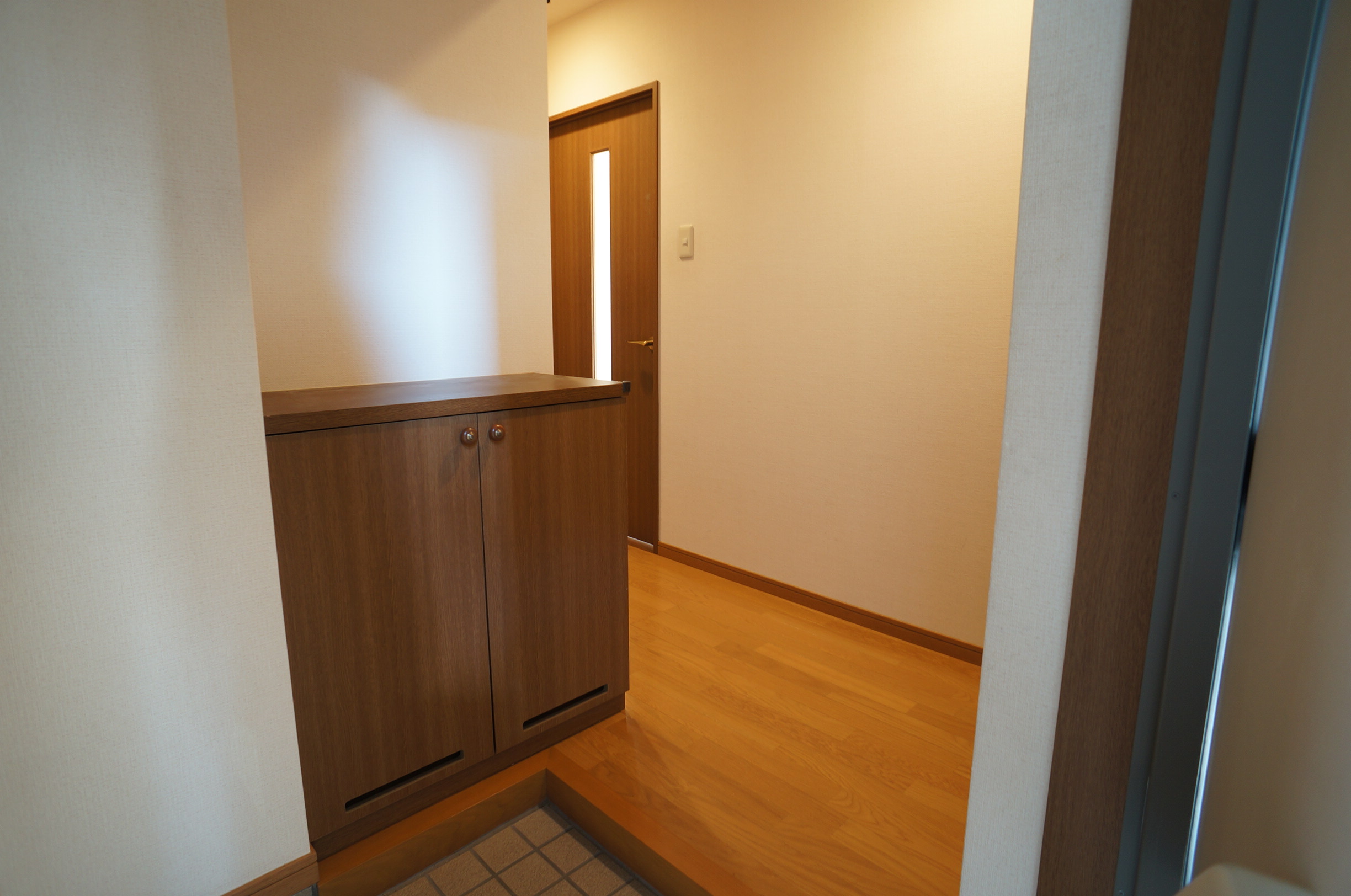 Entrance. Intercom with entrance monitor