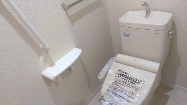 Toilet. It is the same type