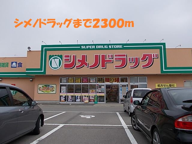Dorakkusutoa. Shimeno 2300m to drag (drugstore)