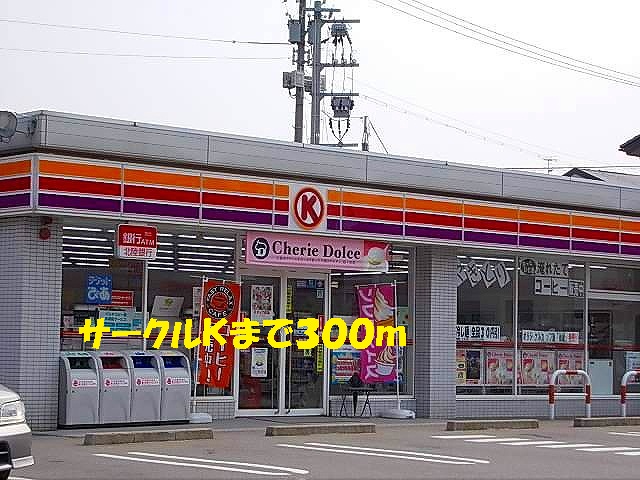 Convenience store. Circle 300m to K (convenience store)