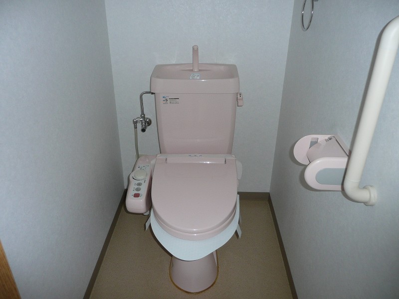 Toilet. Warm water washing heating toilet seat