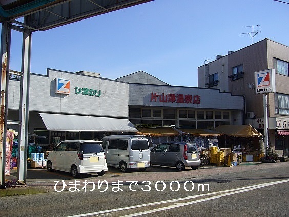 Supermarket. 3000m to sunflower (super)