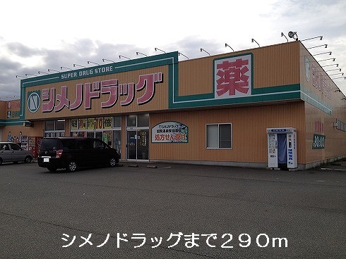 Dorakkusutoa. Shimeno 290m to drag (drugstore)