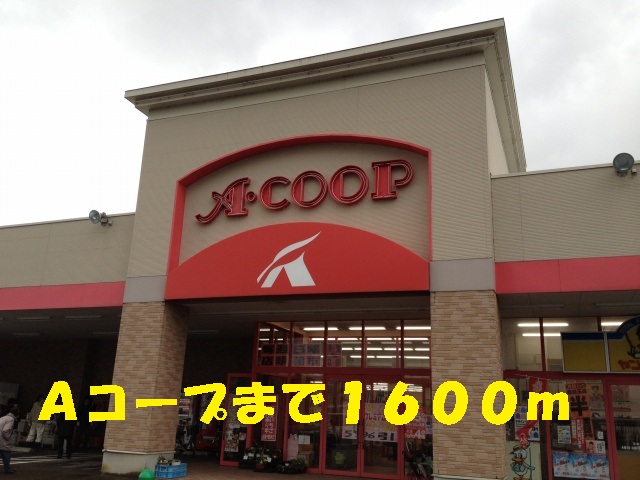 Supermarket. 1600m to A Co-op (super)