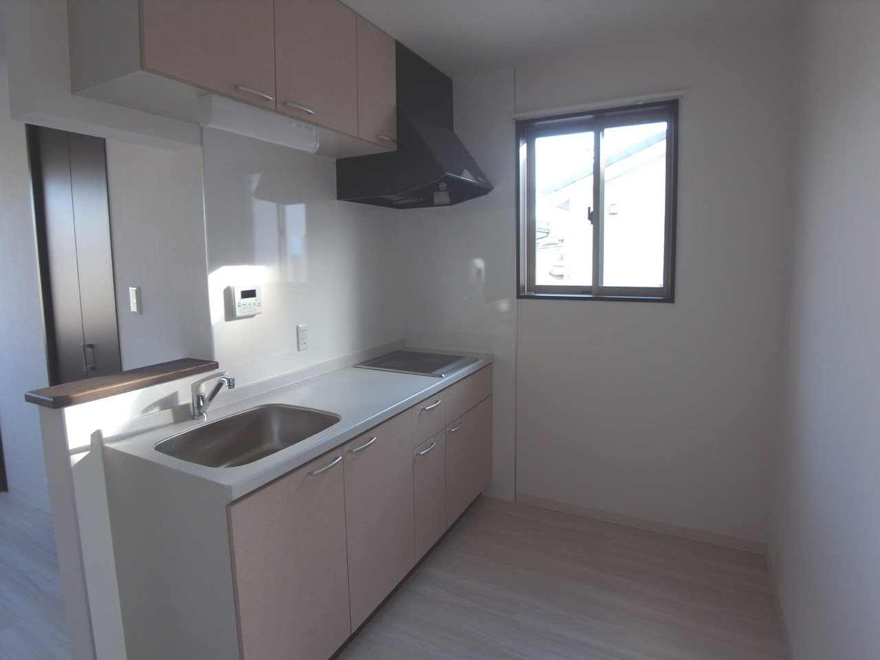 Kitchen. IH hob, Artificial marble top (kitchen sidelight is not attached)