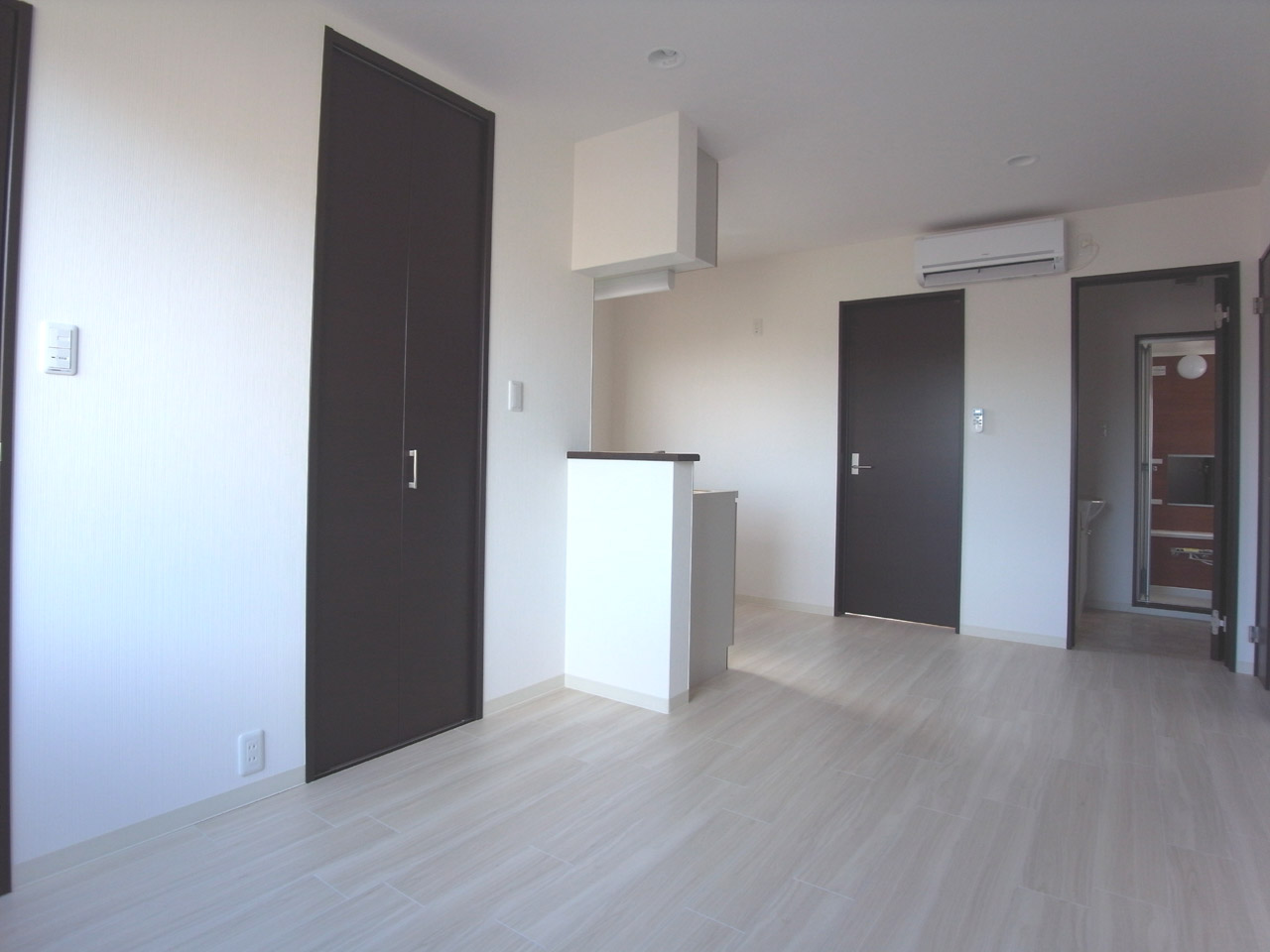 Living and room. LDK