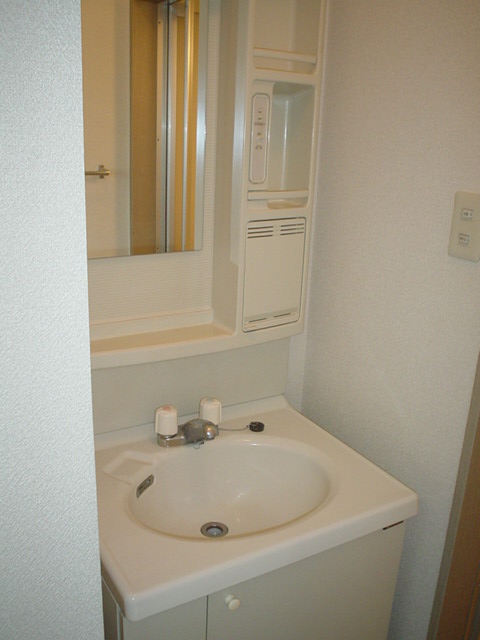 Washroom. Large washbasin!