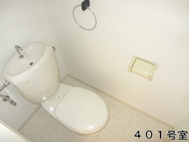 Toilet. Reference photograph