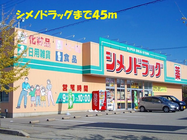 Dorakkusutoa. Shimeno 45m to drag (drugstore)