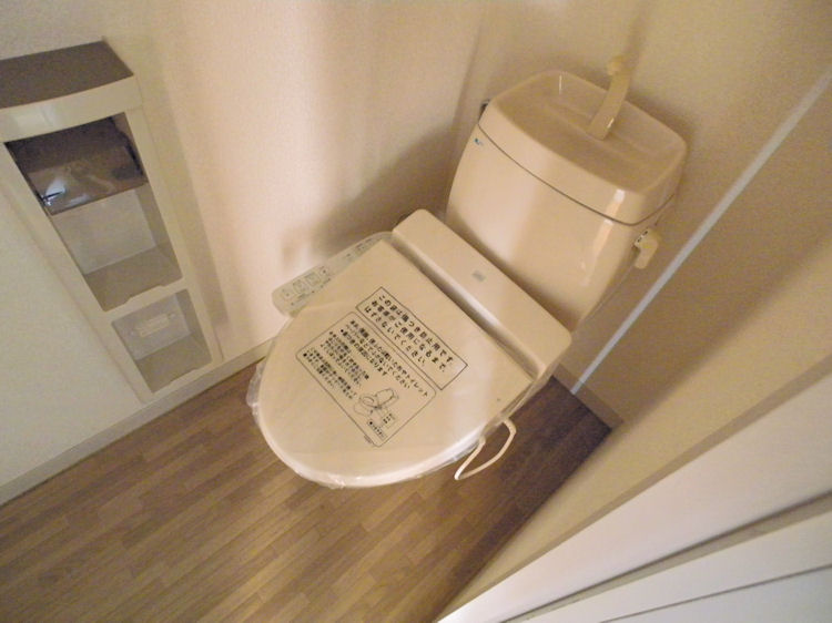 Toilet. Warm water washing toilet seat