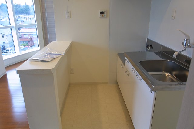 Kitchen. Gas stove, IH can be used either