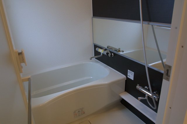 Bath. spacious, Bathtub