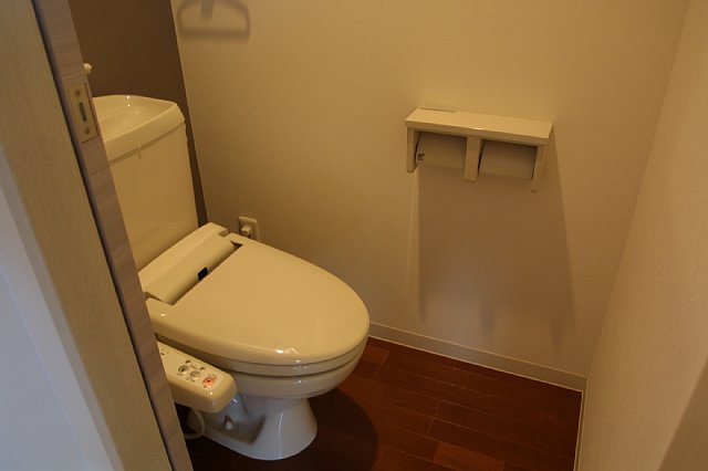 Toilet. Bidet with toilet