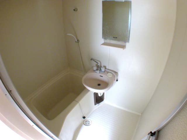 Bath. Reference photograph