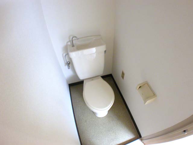 Toilet. Reference photograph