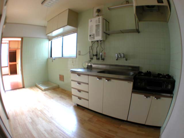 Kitchen. Reference photograph