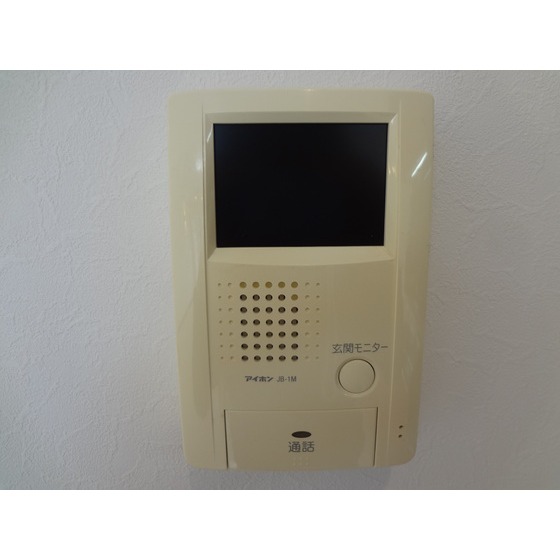 Security. TV monitor Hong