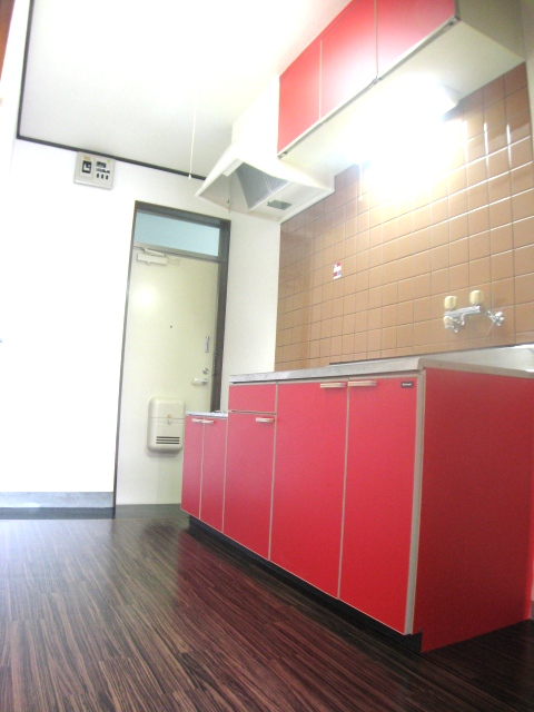 Kitchen. Fun and also everyday cooking if unique red kitchen.