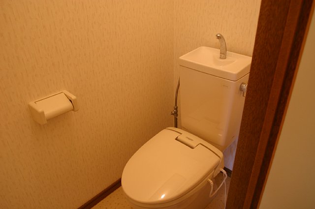 Toilet. Heating toilet seat