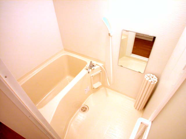 Bath. Reference photograph