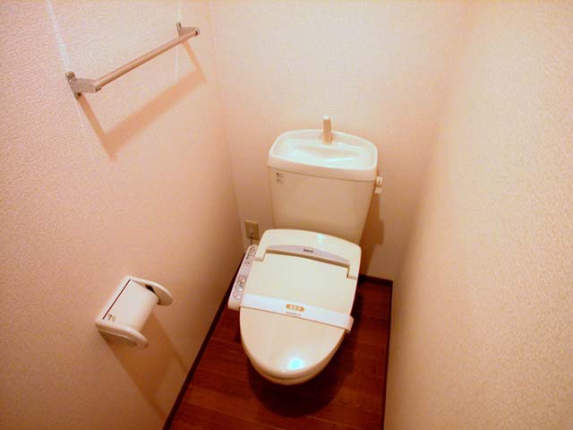 Toilet. Reference photograph