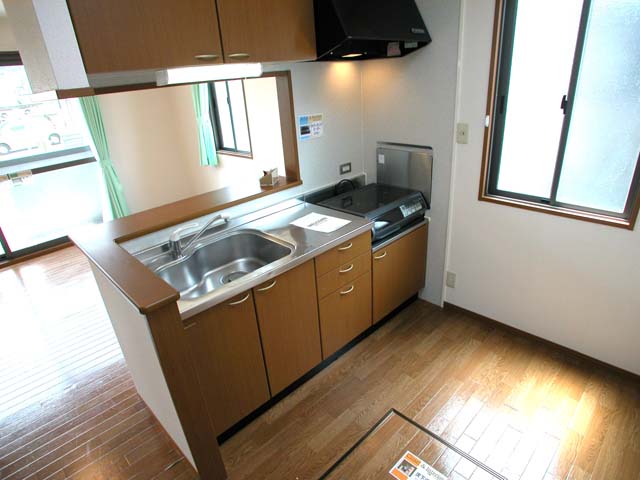 Kitchen. Reference photograph