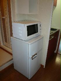 Other. refrigerator microwave