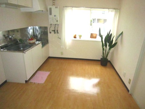 Kitchen. Reference photograph