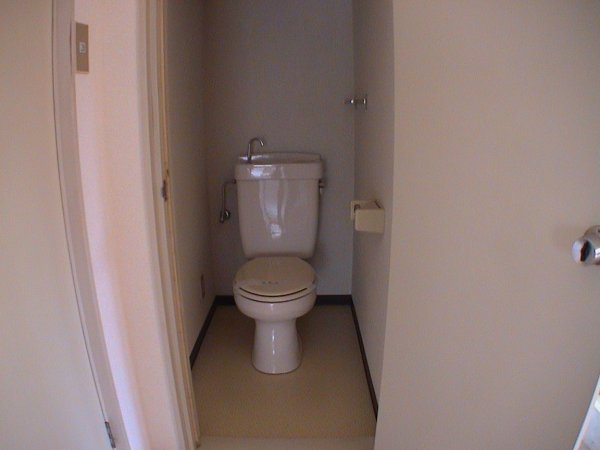 Toilet. Reference photograph