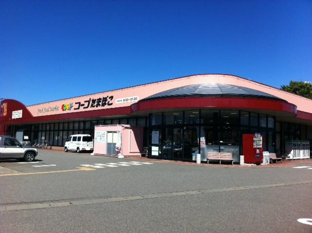 Supermarket. 100m to Cope Tamaboko (super)