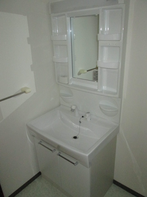 Washroom. Vanity shower