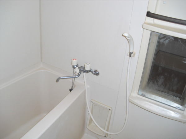 Bath. It comes with a mirror in the bathroom.