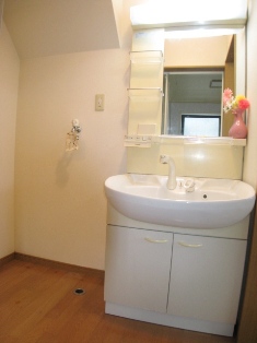 Washroom. Washroom with a clean. Also with shampoo dresser.