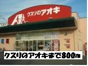 Dorakkusutoa. 800m to Aoki (drugstore) of medicine