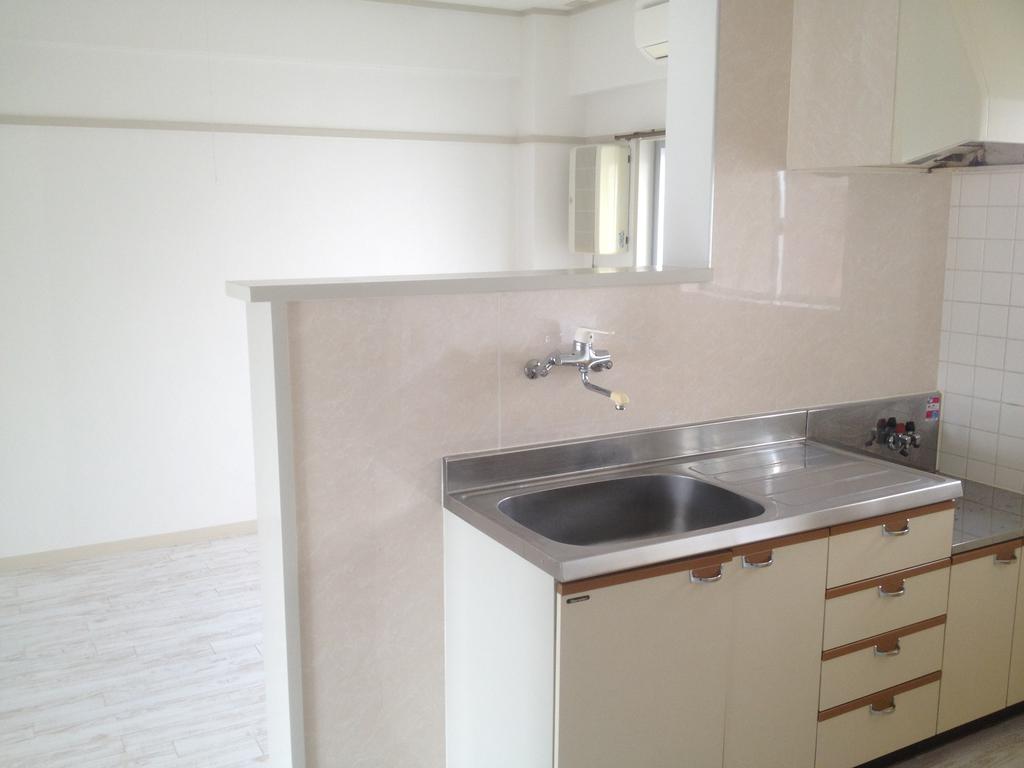 Kitchen. Face-to-face kitchen