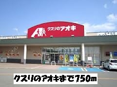 Dorakkusutoa. Medicine of Aoki 750m to (drugstore)