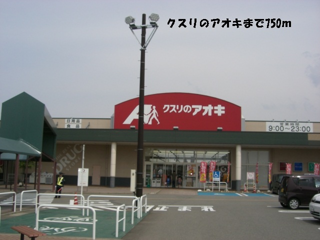 Dorakkusutoa. Medicine of Aoki 750m to (drugstore)