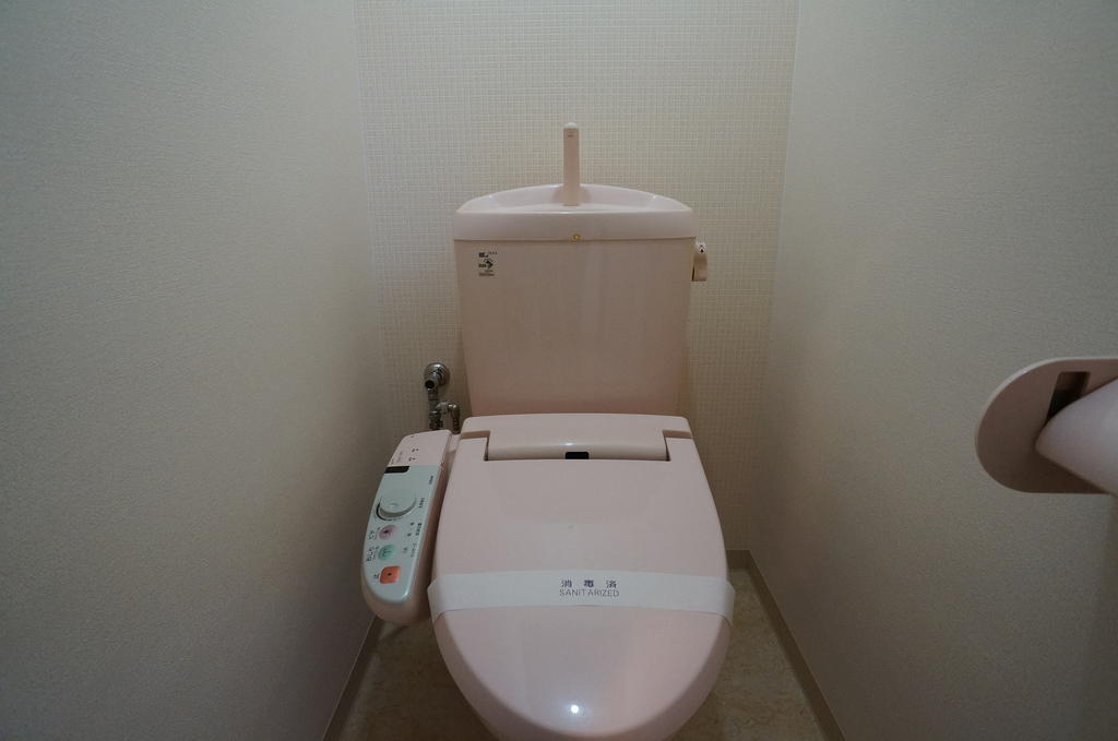 Toilet. Shower toilet